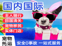 观音航空快递国际宠物托运 【国